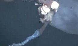 深海幕后爆料视频大全最新,幕后爆料视频大全深度解析