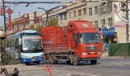 杞县北关车祸最新爆料,悲剧现场细节披露，伤亡情况引关注